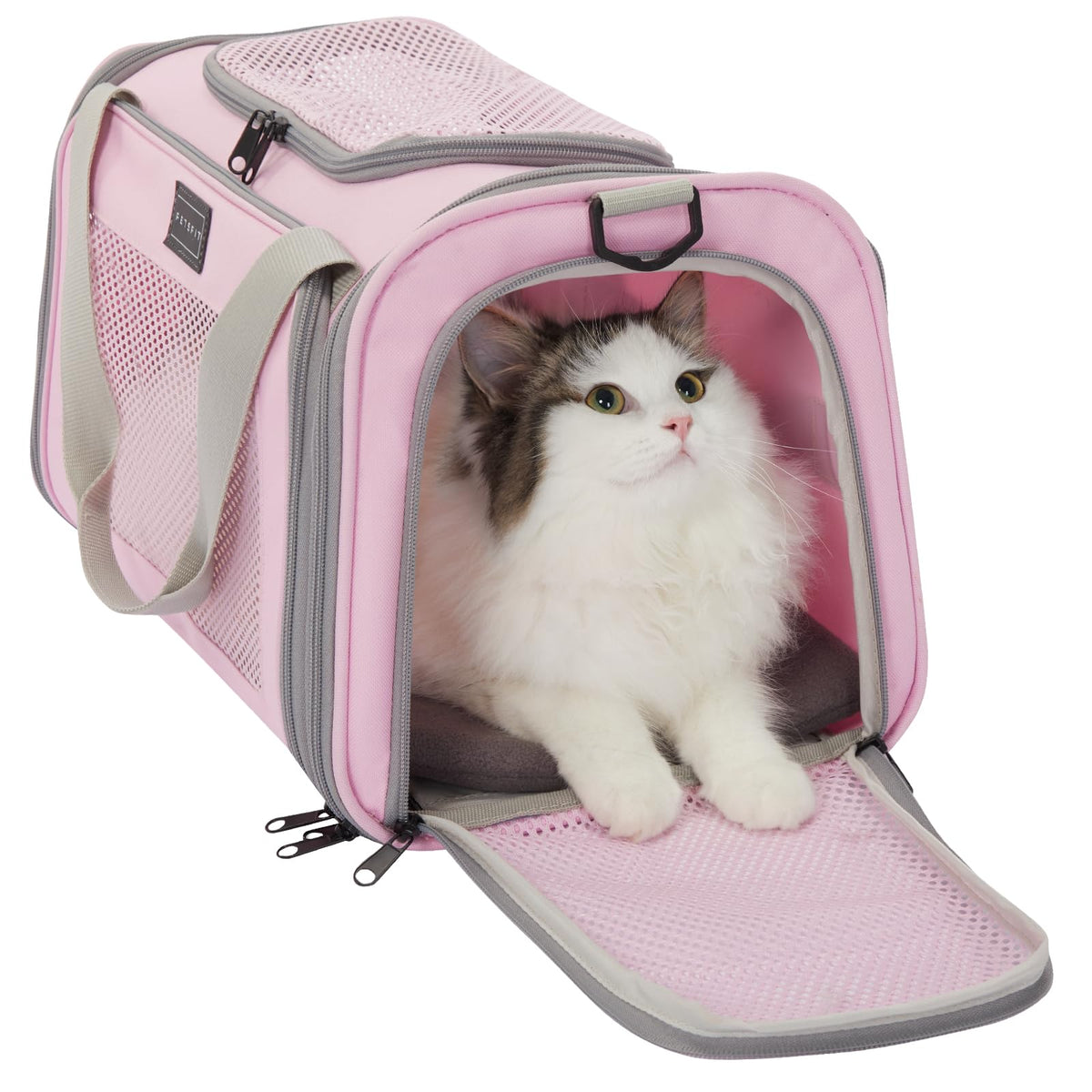 Petsfit transportín para gato aprobado por aerolíneas, cabe bajo el asiento para vuelos