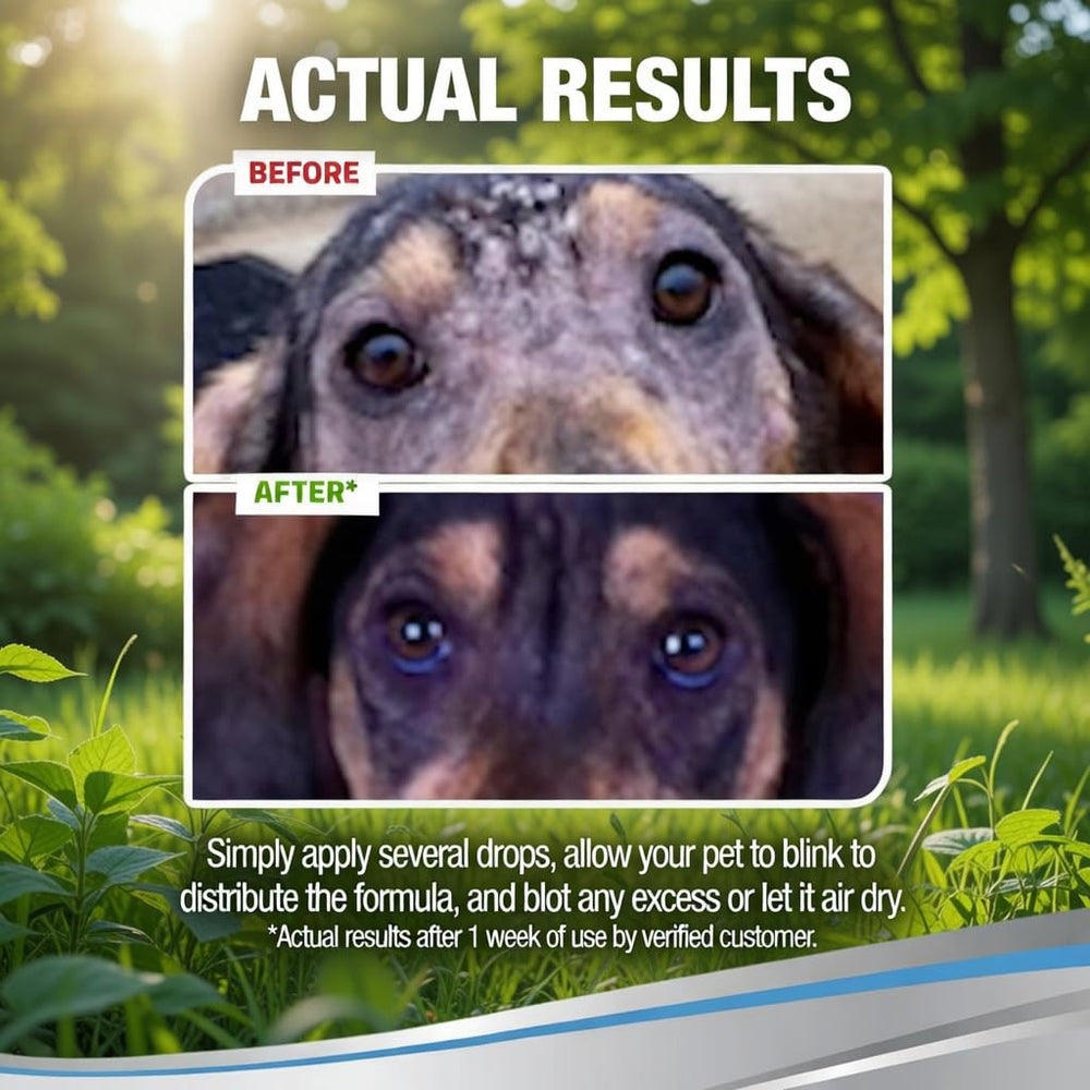 PetSilver uso diario para perros y gatos, limpieza ocular.