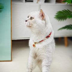 Ajuste ajustable de PetsMeow para gatitos y gatos adultos, cómodo.
