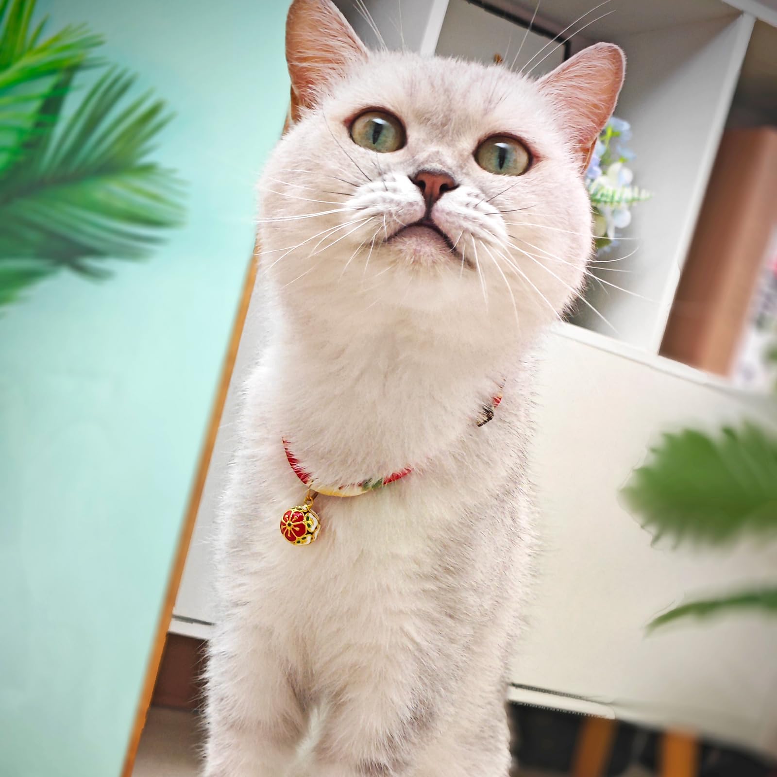Collar PetsMeow con hebilla de seguridad que se abre si se engancha, protección para el juego.