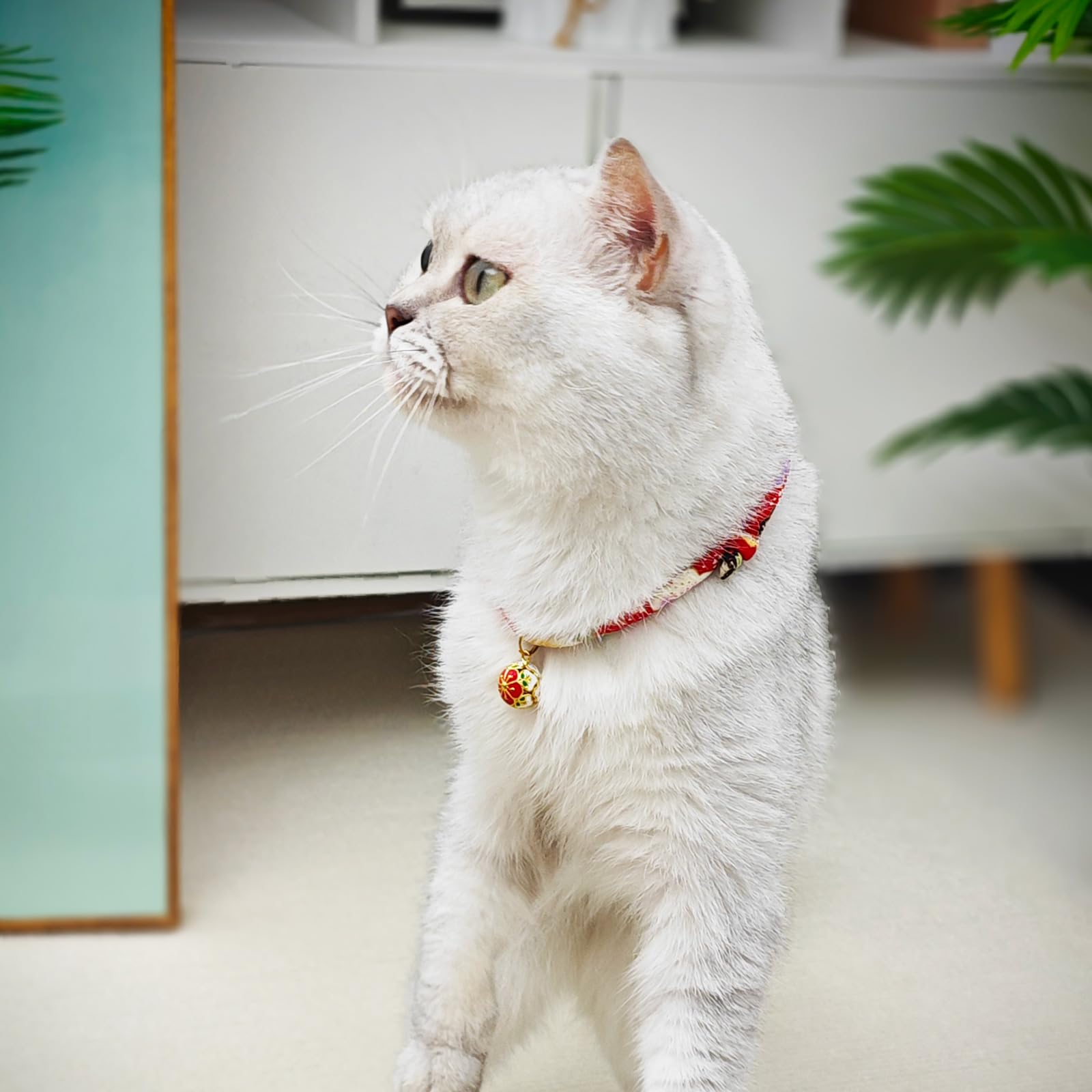 Collar PetsMeow suave crepé japonés, cómodo para gatitos y gatos activos