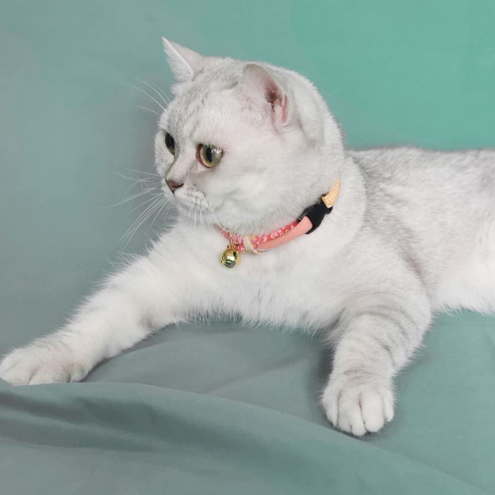 Talla ajustable para gatos jóvenes y adultos, ajuste cómodo y seguro.