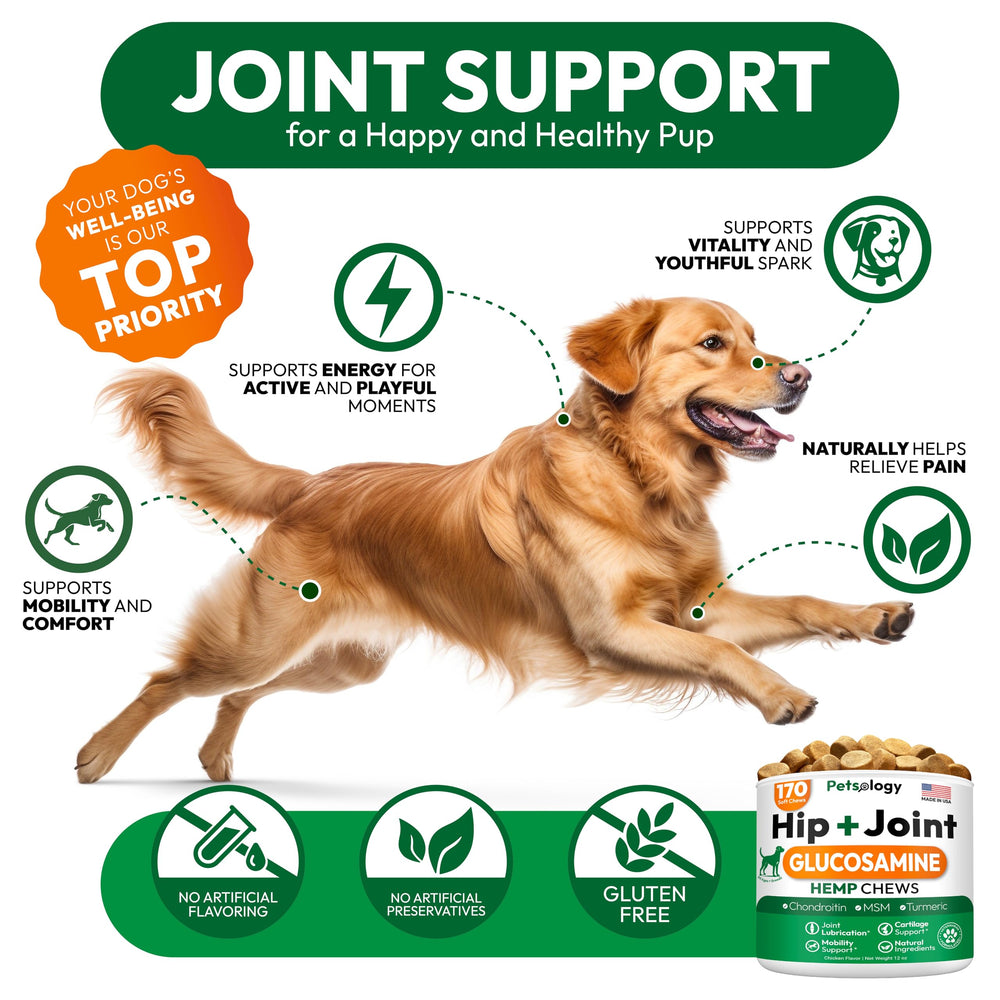 Petsology condroitina para perros, ayuda a la salud de las articulaciones.