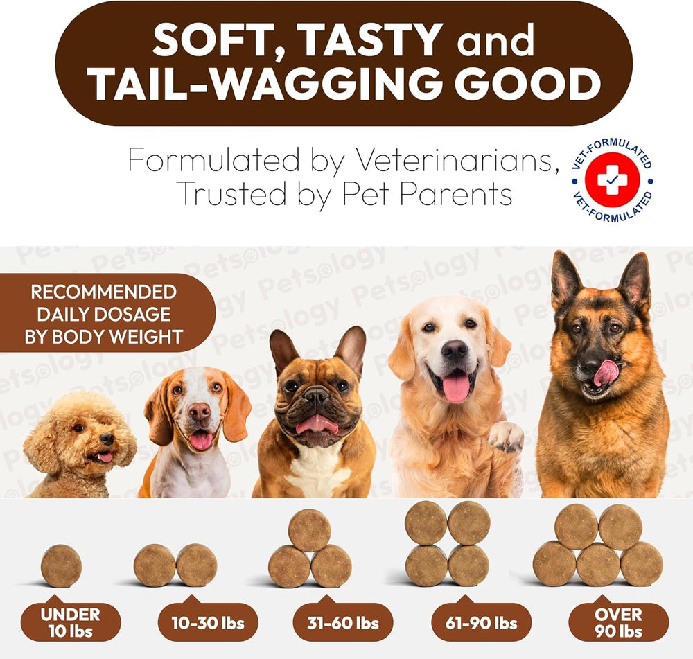 Petsology Dosis diaria para perros en suplemento, envase