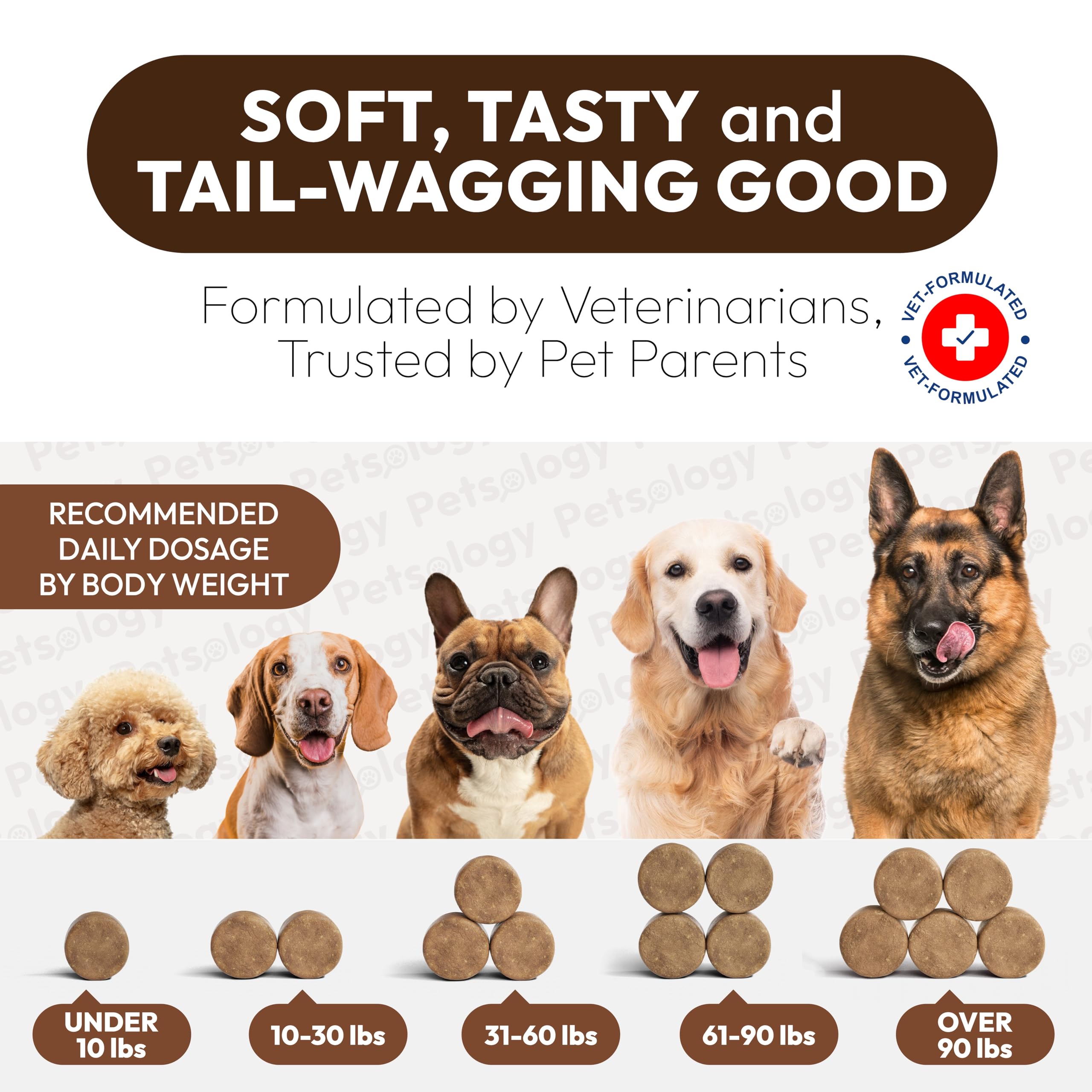 Petsology envase-dos-packs hecho en EEUU con control de calidad