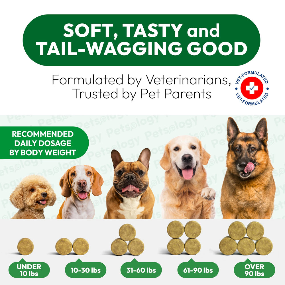 Petsology fabricación en EE. UU.: suplemento seguro para perros.