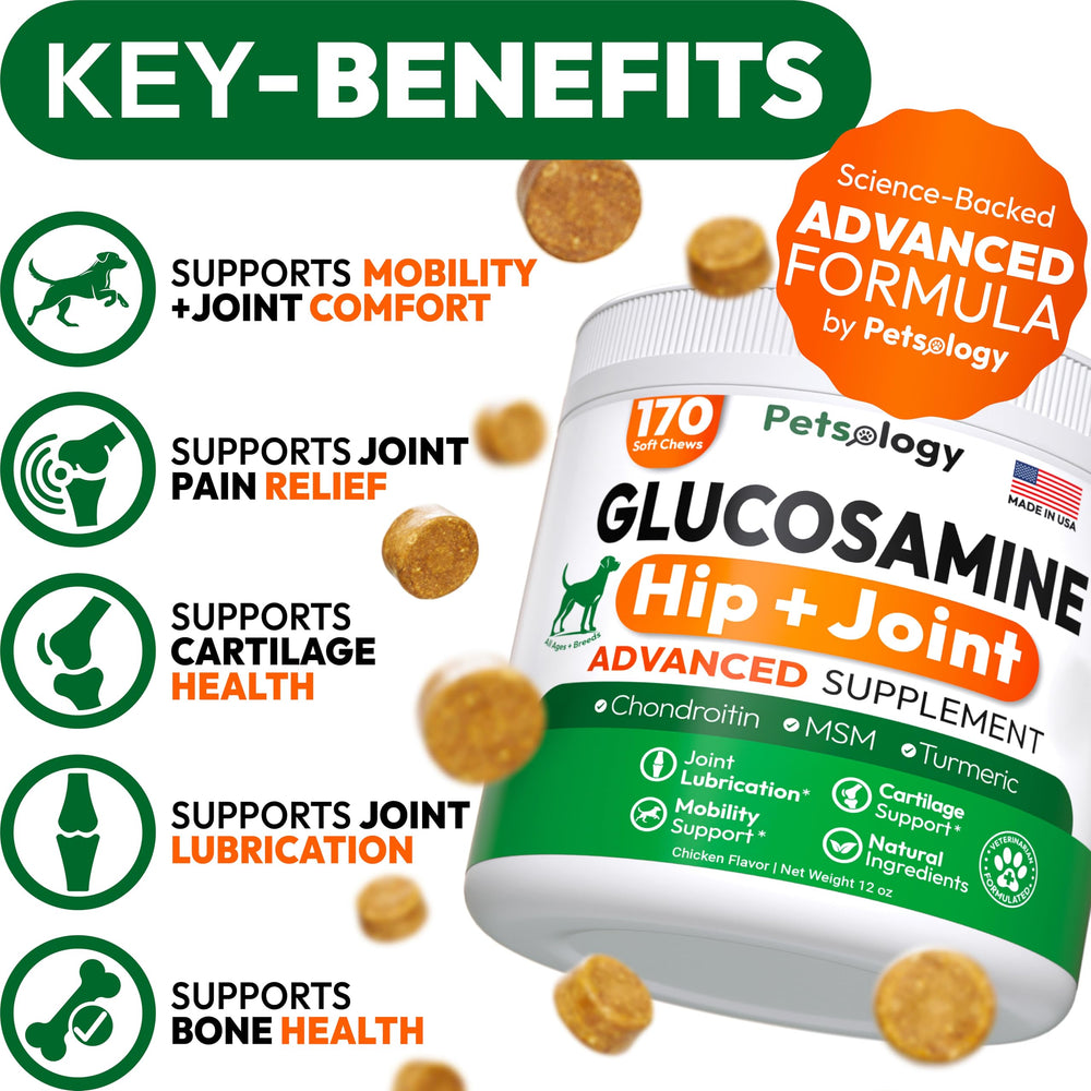 Petsology Glucosamina para perros: masticables fáciles de incorporar en la rutina diaria.
