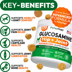 Petsology Glucosamina para perros: masticables fáciles de incorporar en la rutina diaria.