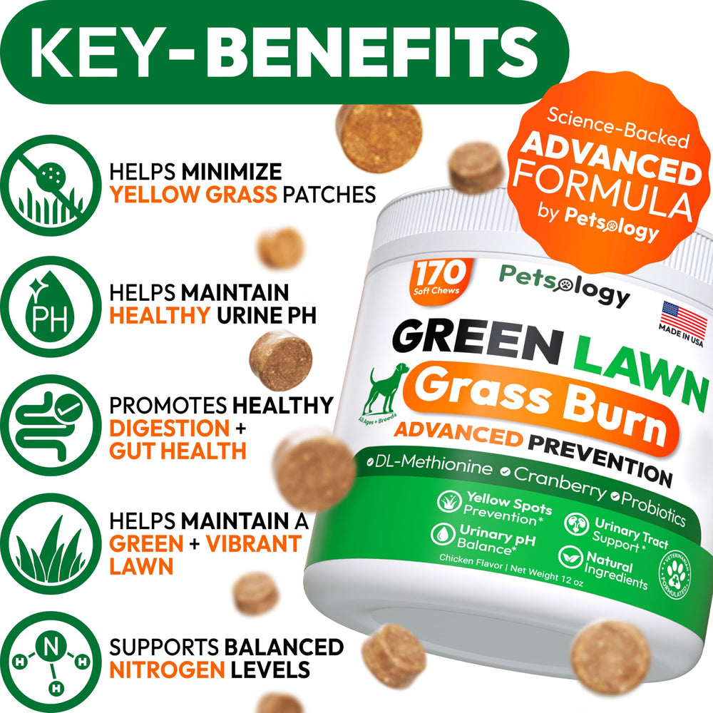 Petsology golosinas para perro, cesped verde y menos manchas