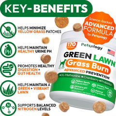 Petsology golosinas para perro, cesped verde y menos manchas