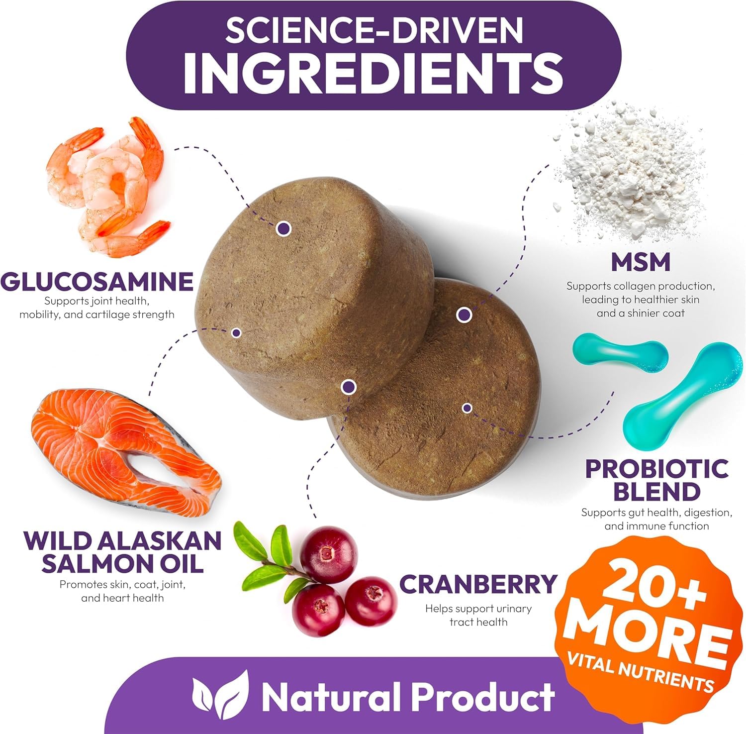 Petsology multivitamínico para perros masticables en mano, fácil de administrar.