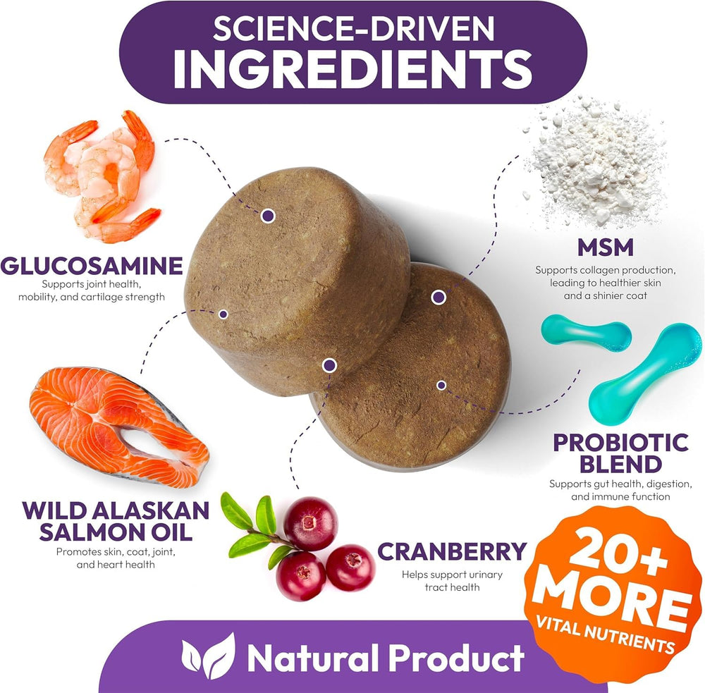Petsology multivitamínico para perros masticables en mano, fácil de administrar.