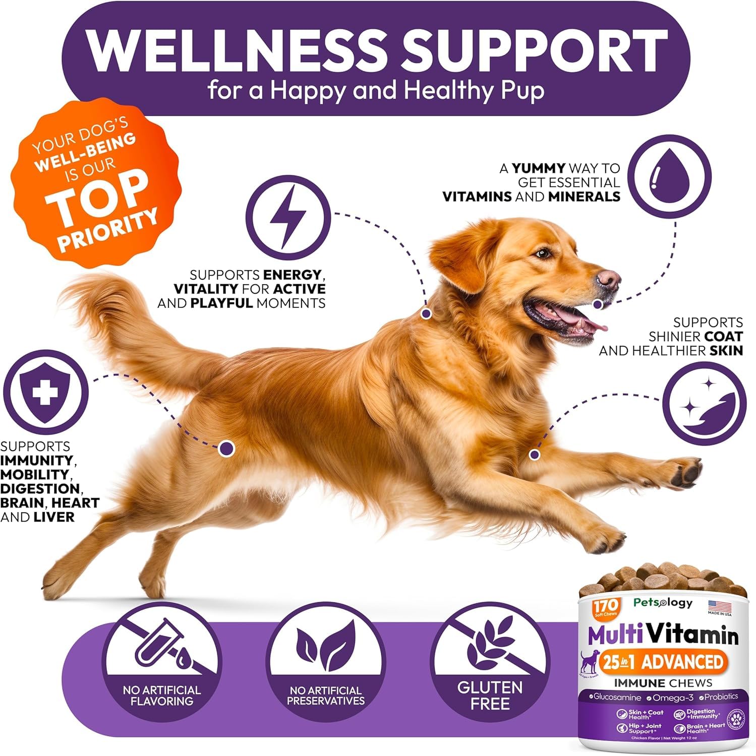 Petsology multivitamínico para perros masticables en plato, snack saludable para perros.