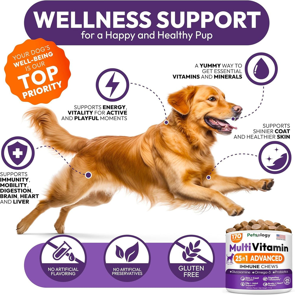 Petsology multivitamínico para perros masticables en plato, snack saludable para perros.