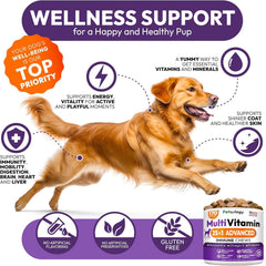 Petsology multivitamínico para perros masticables en plato, snack saludable para perros.