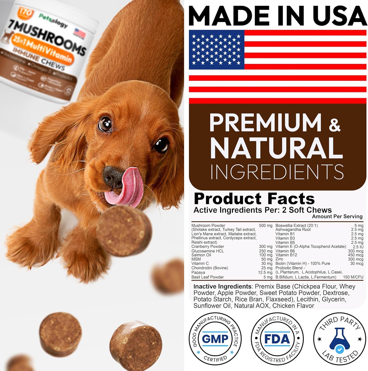 Petsology Multivitaminas para perros, botella, nutrición diaria