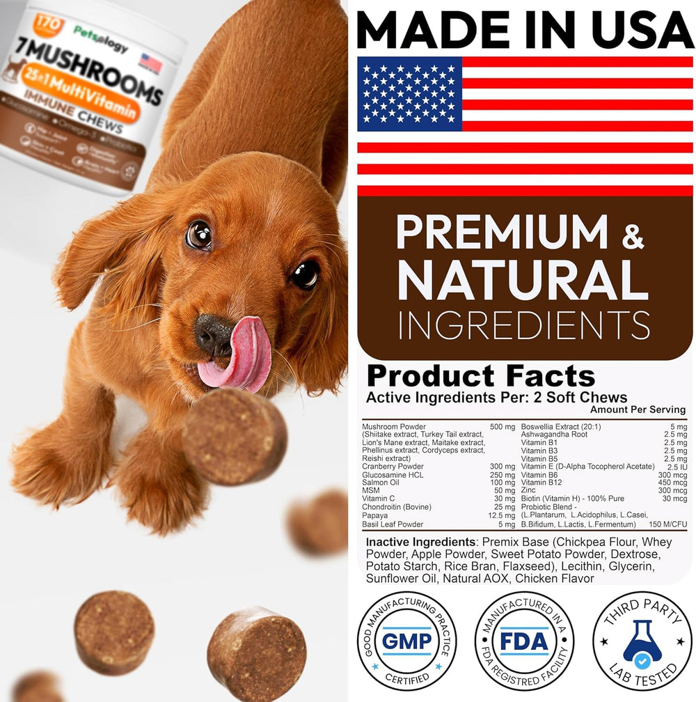 Petsology Multivitaminas para perros, botella, nutrición diaria