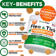Petsology pastillas-masticables para perros, facilidad de administración.