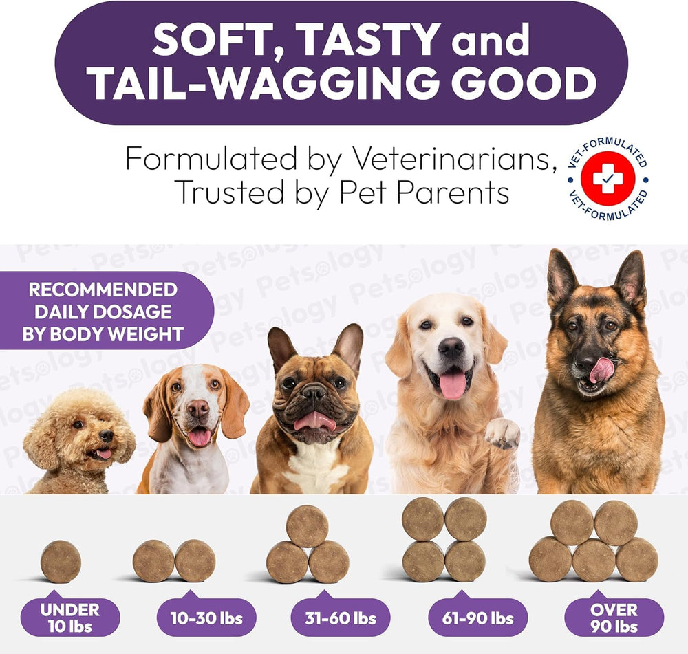 Petsology multivitamínico para perros mordiendo masticable, sabor agradable y fácil incorporación.