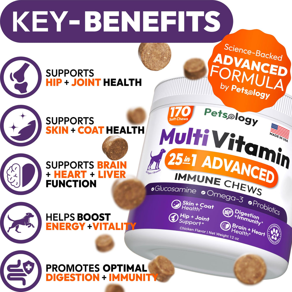 Petsology gomitas de multivitaminas para perros, masticables y sabrosas para la rutina