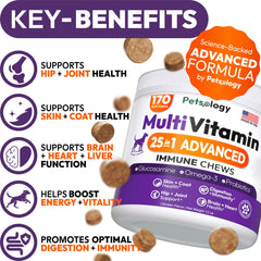 Petsology gomitas de multivitaminas para perros, masticables y sabrosas para la rutina
