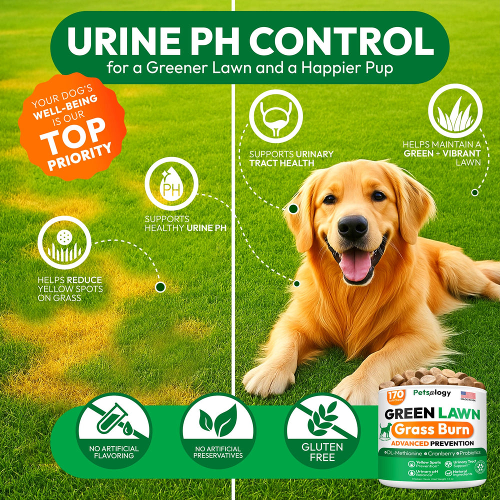 Petsology probioticos y enzimas digestivas para salud urinaria