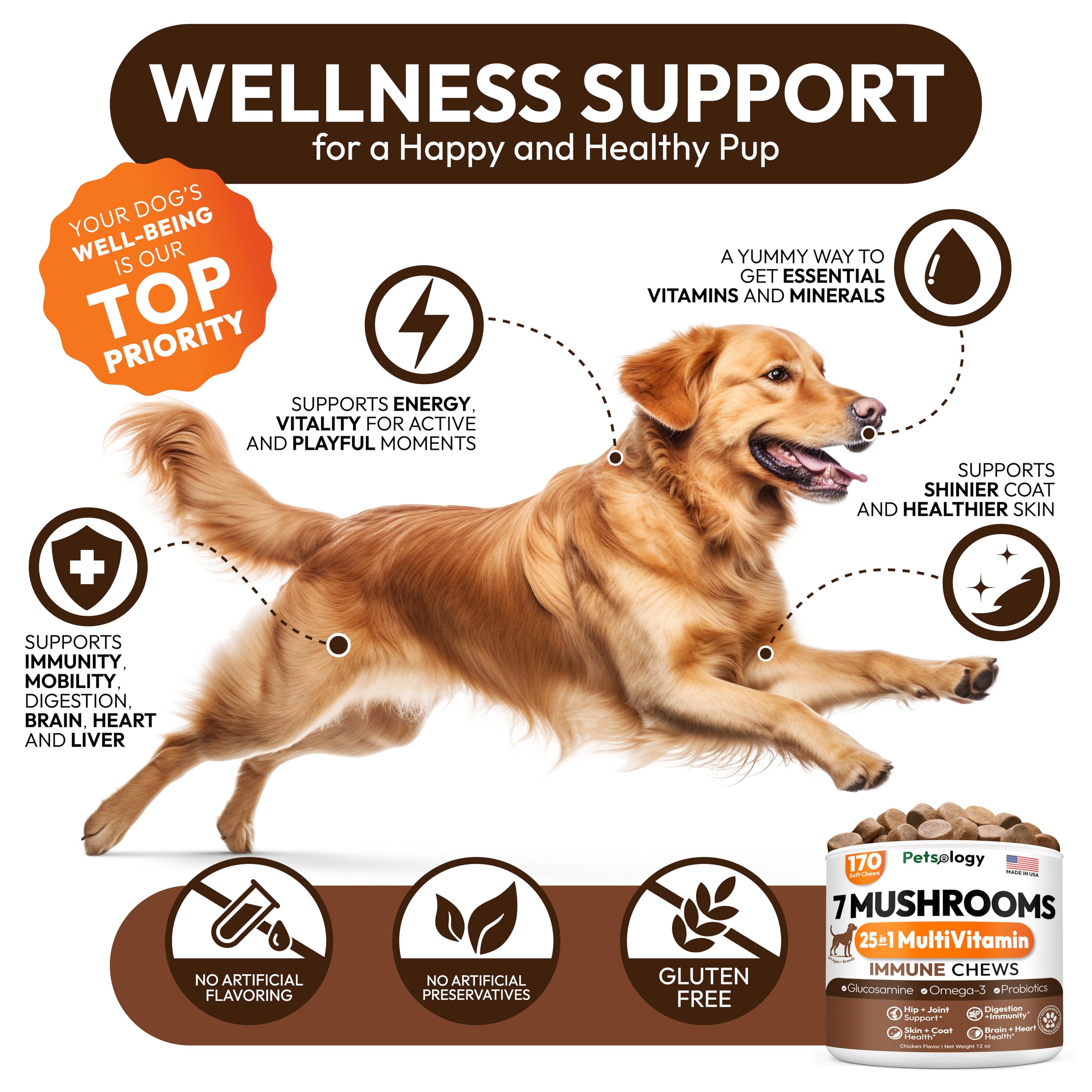 Petsology Reishi para perros, chicles en bote, apoyo general