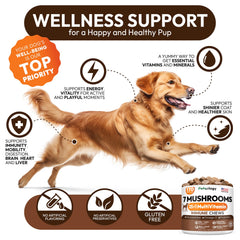 Petsology Reishi para perros, chicles en bote, apoyo general