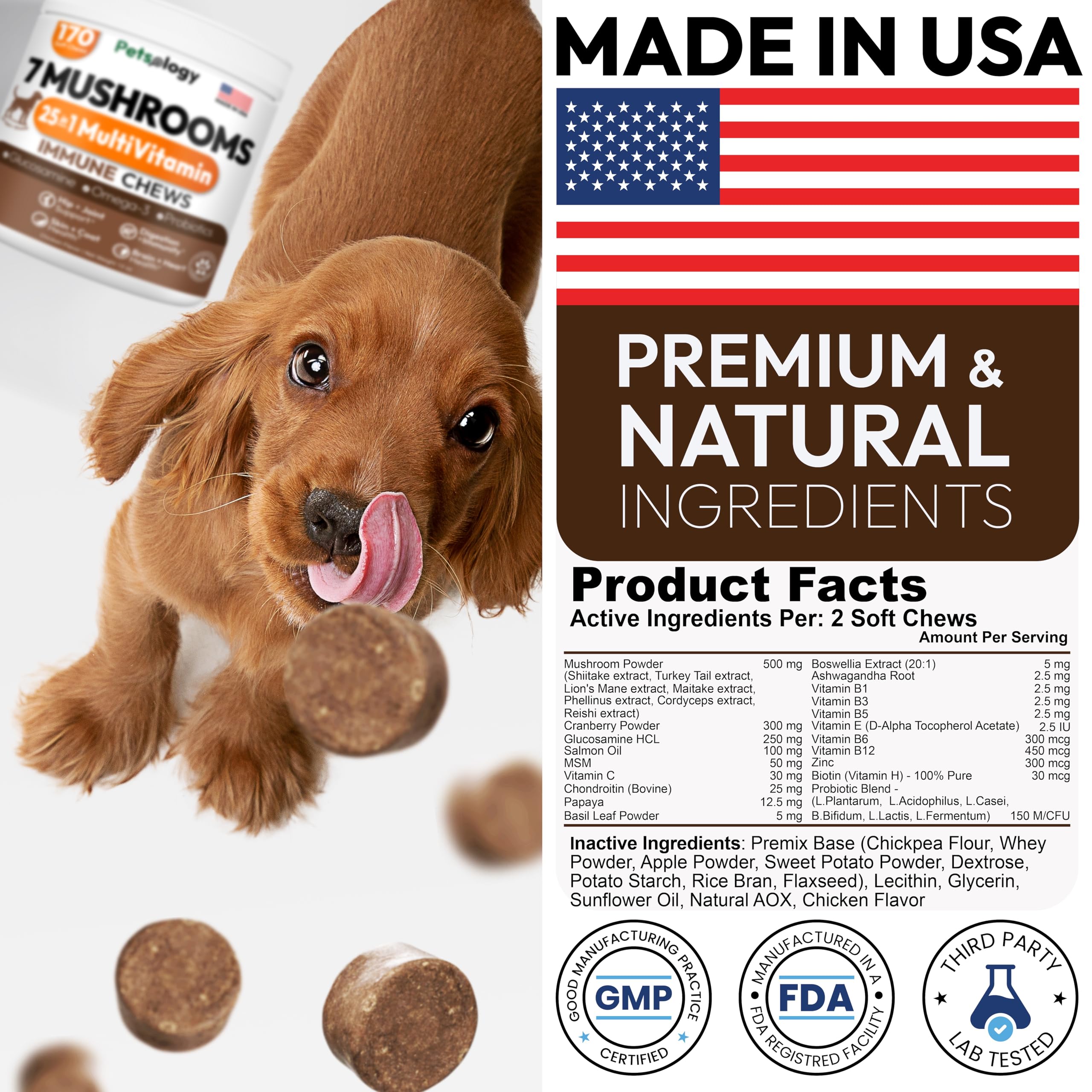 Petsology salud digestiva e inmunidad para perros
