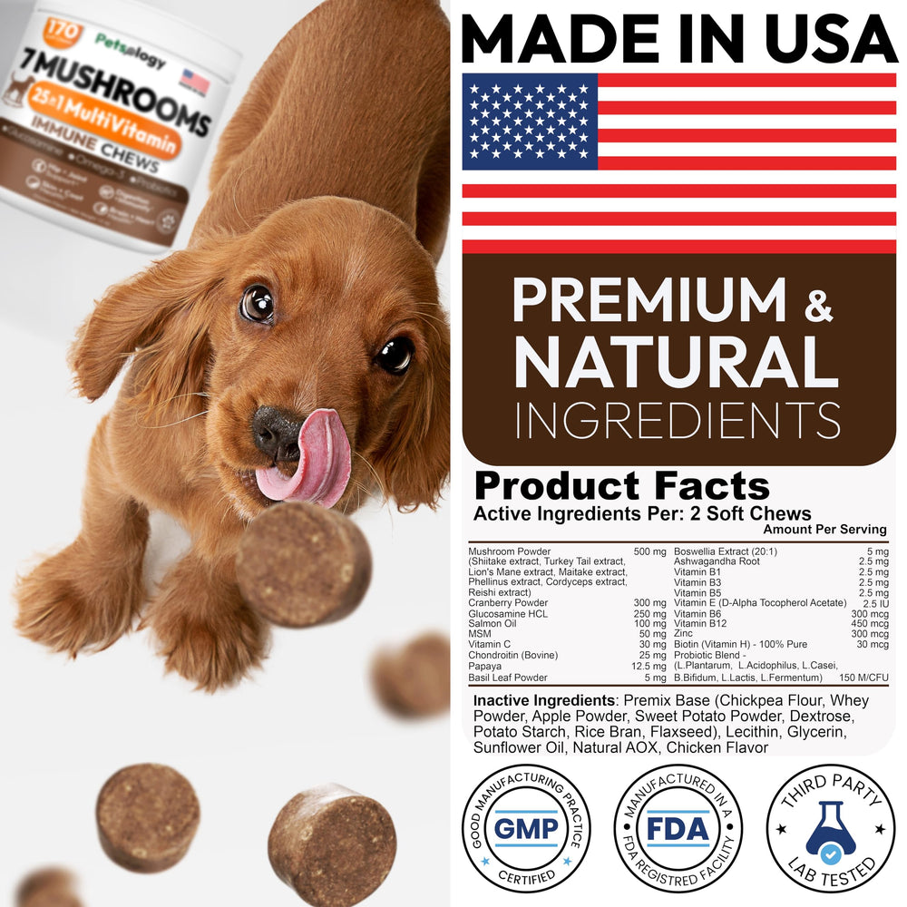 Petsology salud digestiva e inmunidad para perros