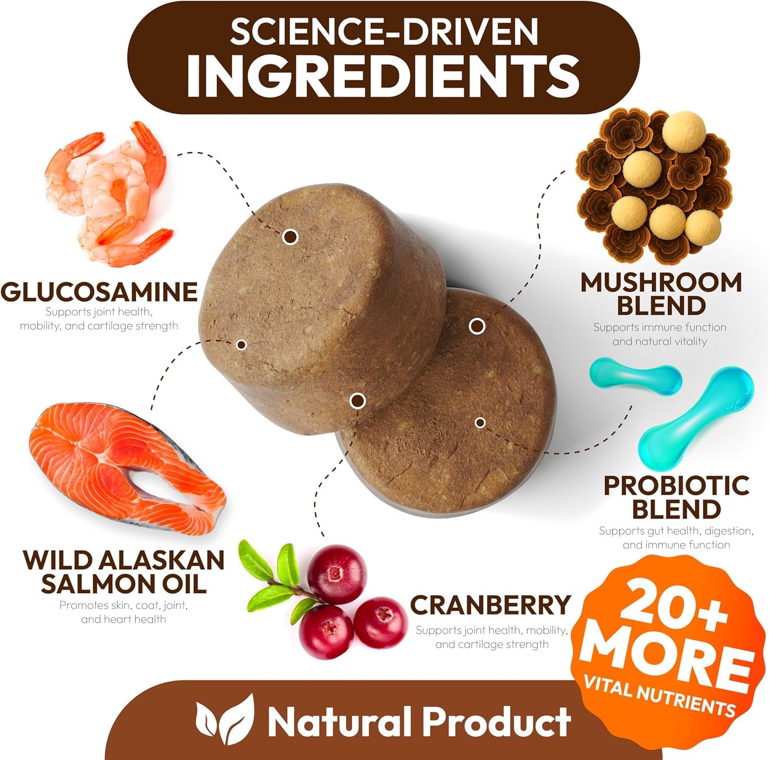 Petsology Shiitake para perros, chicles en bote, bienestar digestivo