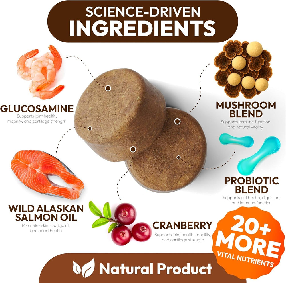 Petsology Shiitake para perros, chicles en bote, bienestar digestivo