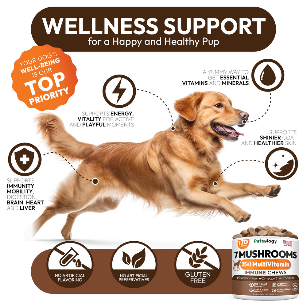 Petsology hongo-reishi y shiitake para movilidad y bienestar