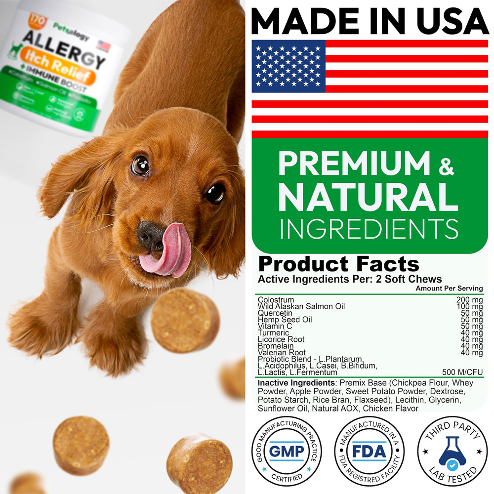 Petsology impulso inmunitario para perros, defensa natural y piel calmada.