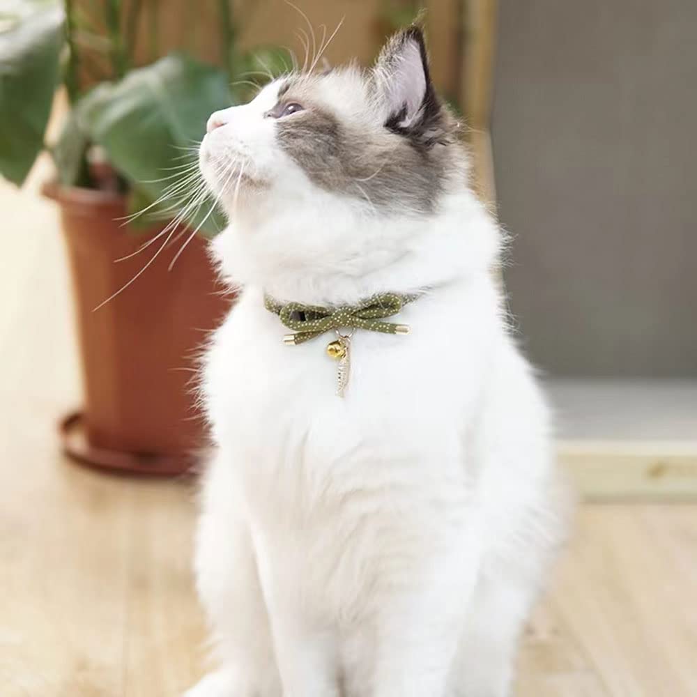 Collier PetSoKoo avec taille reglable pour un ajustement parfait.
