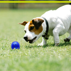 PetSport Gorilla Spiky Ball para uso en interiores, ejercicio en casa.