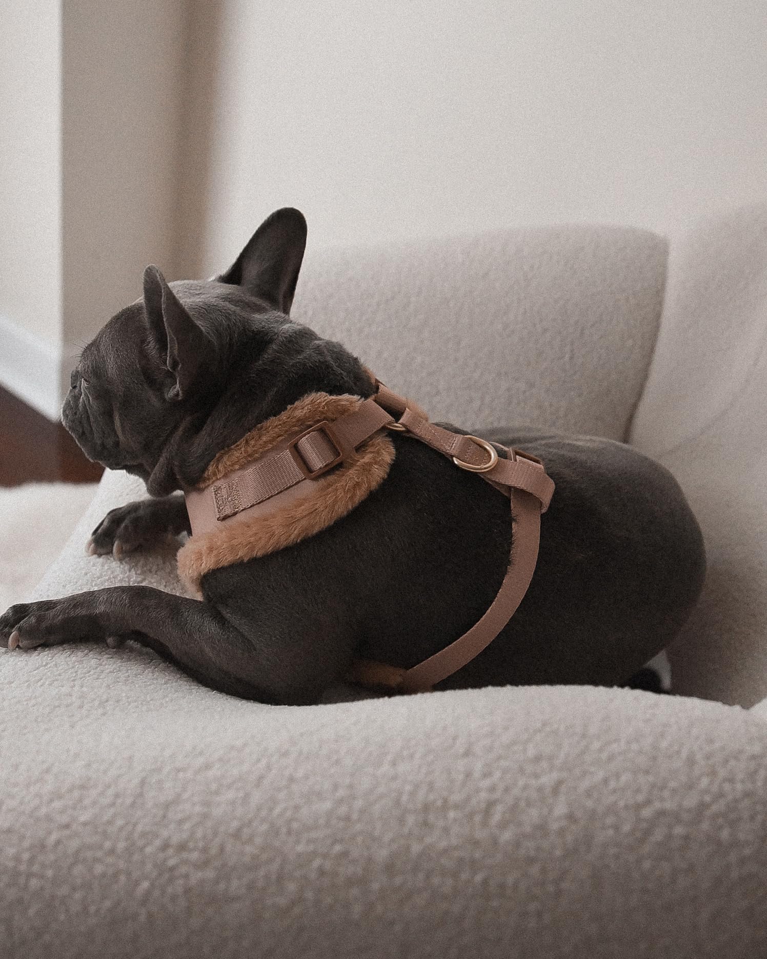 Ajuste total PETsRUS para cuello y pecho, talla precisa.