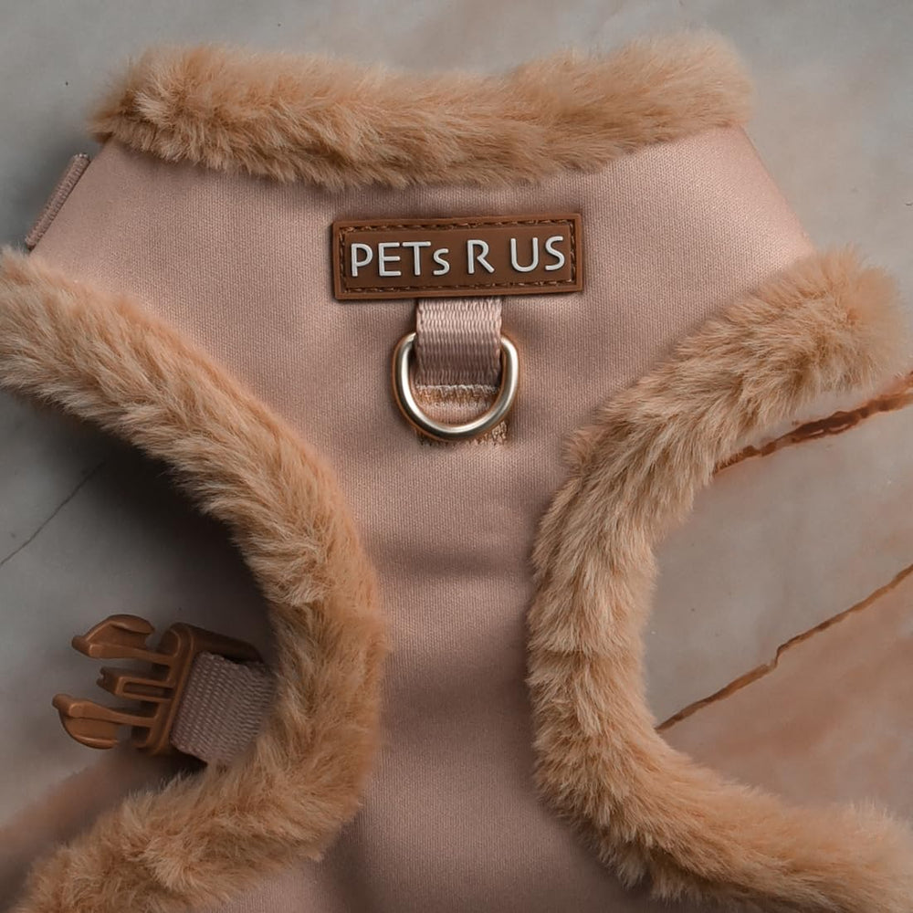 Anilla frontal D-ring PETsRUS para desviar tirones con suavidad.