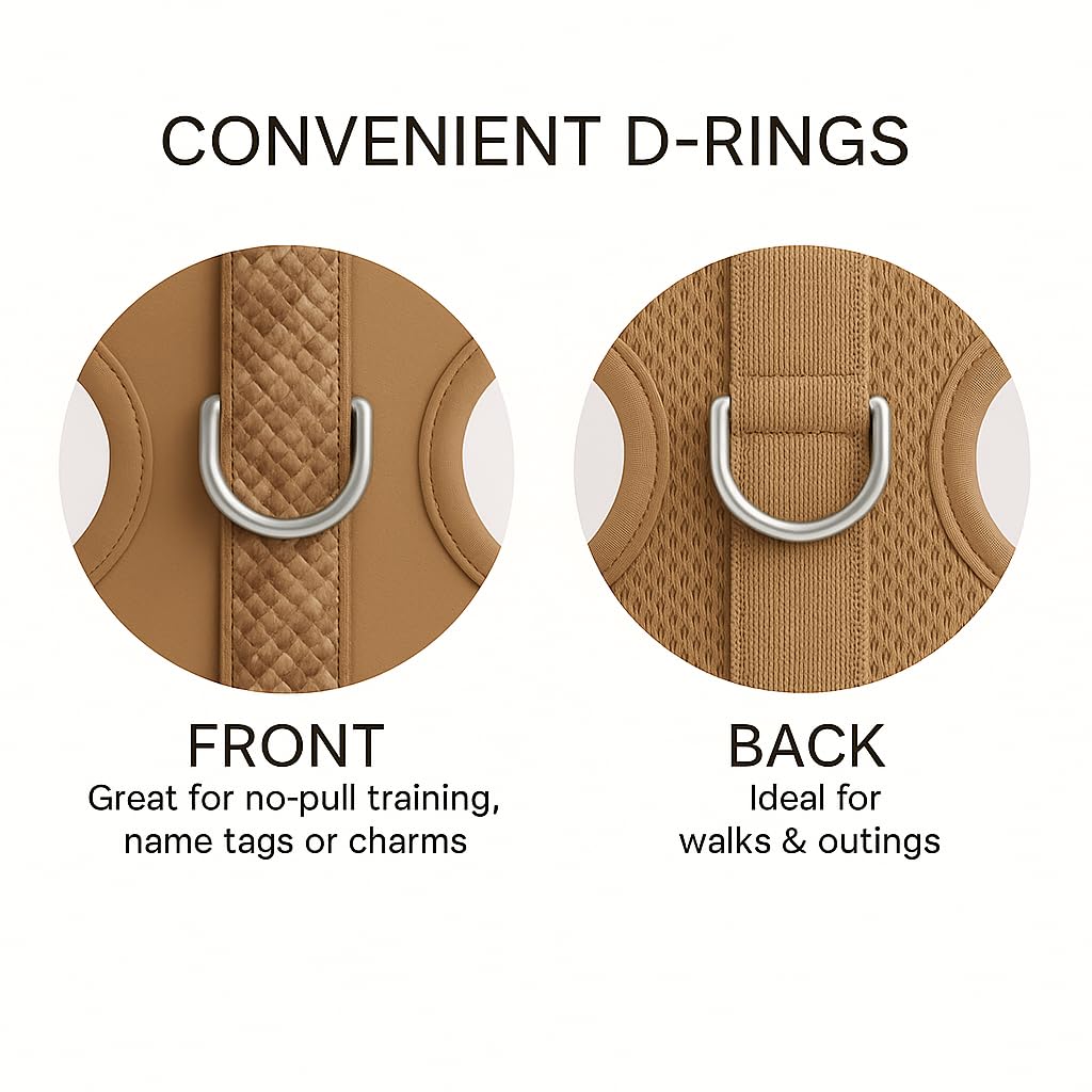 PETsRUS arnés sin tirones con clip dorsal para paseos diarios cómodos