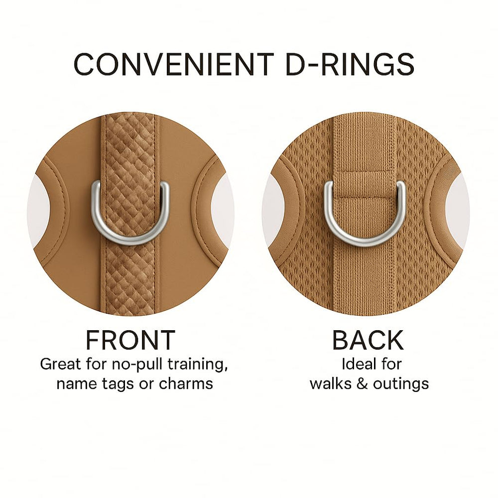 PETsRUS arnés sin tirones con clip dorsal para paseos diarios cómodos