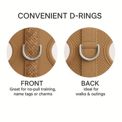 PETsRUS arnés sin tirones con clip dorsal para paseos diarios cómodos