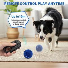 PETSWEET: carga rápida USB-C para más tiempo de juego.