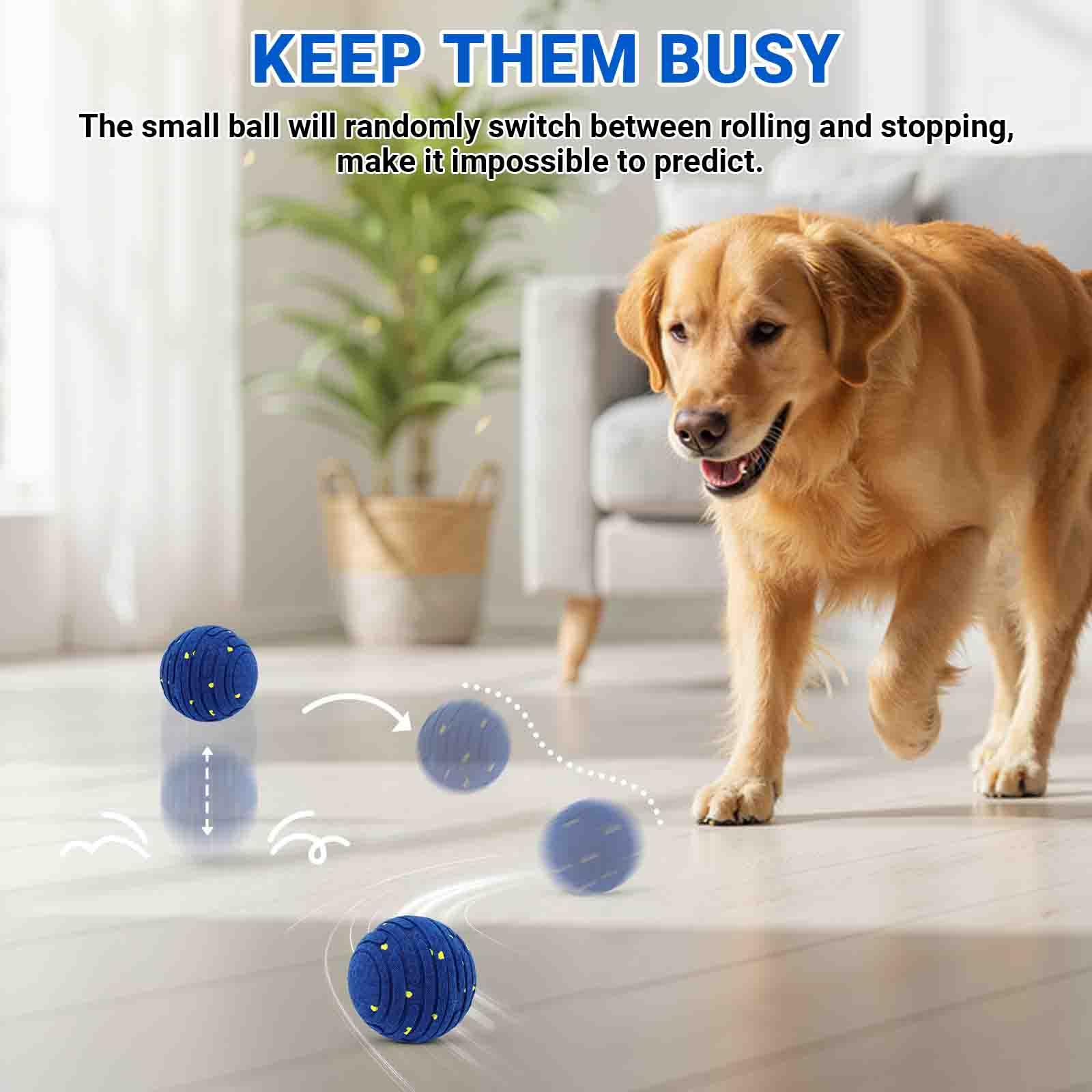 PETSWEET: opciones de color azul y amarillo para elegir estilo.