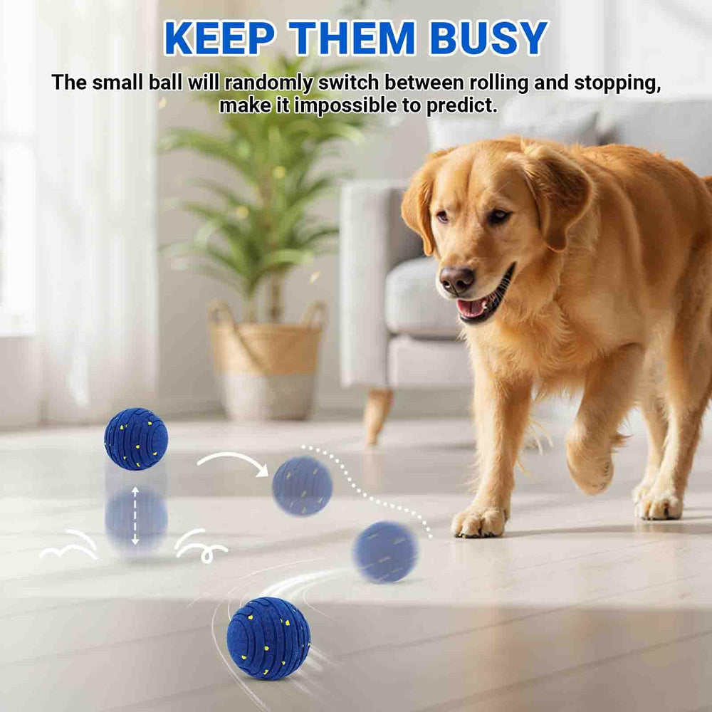 PETSWEET: opciones de color azul y amarillo para elegir estilo.