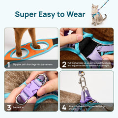 PetThem correa-gato-paseo: control y seguridad en salidas.