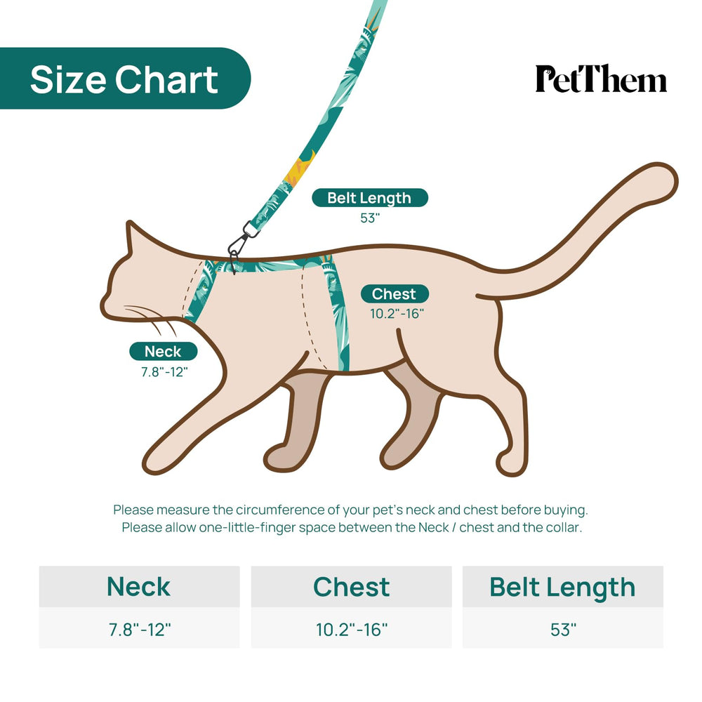 Kit de paseo compacto de PetThem para gatos curiosos