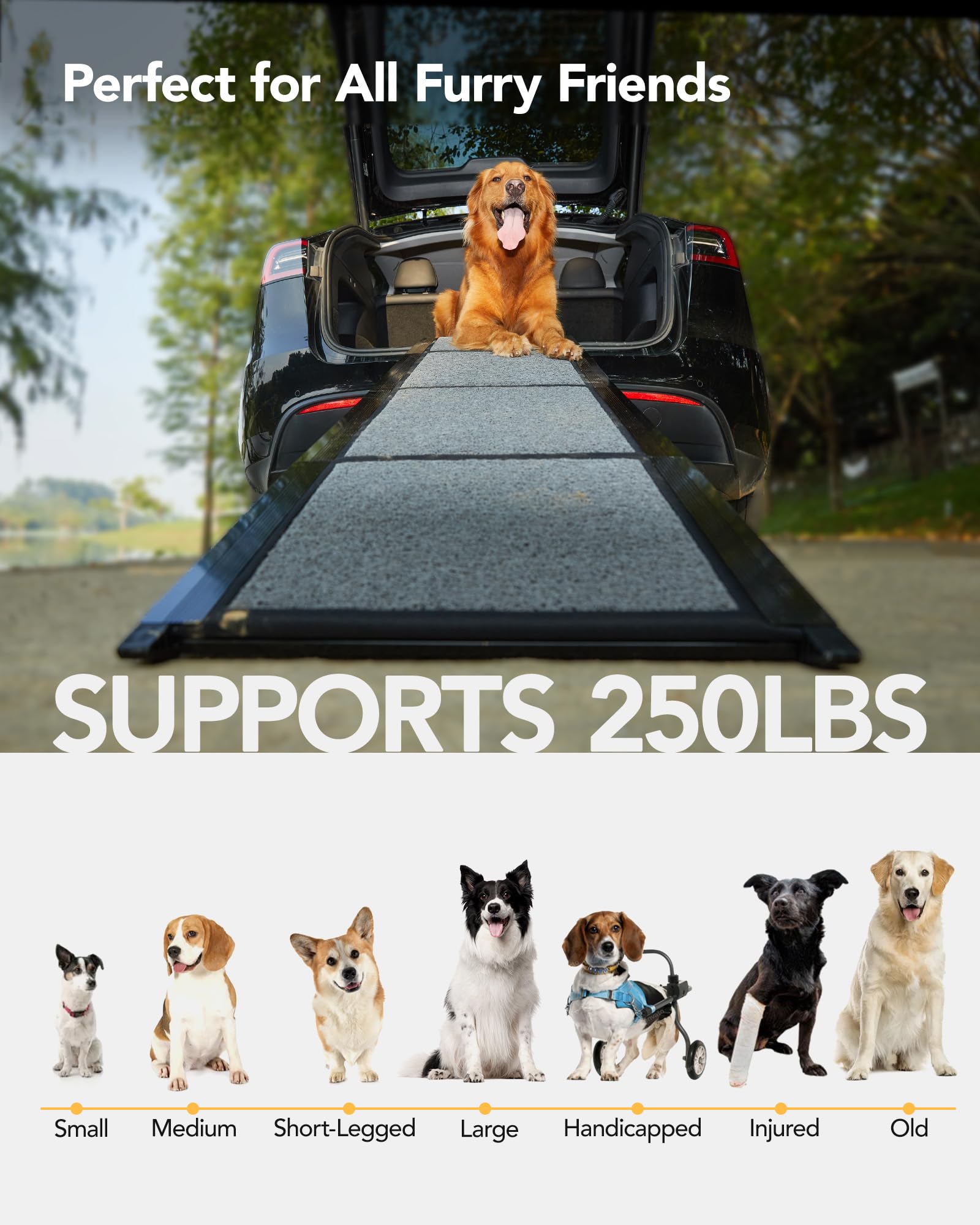 PetThem rampa compatible con SUV y camiones para uso diario.
