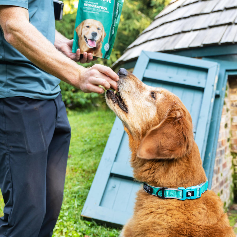 PetThrive hecho en Estados Unidos, garantía de calidad.