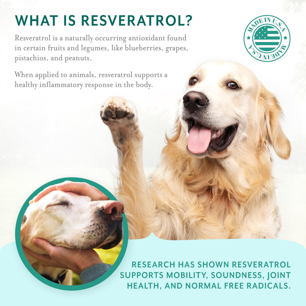 PetThrive sin azúcar ni aditivos, apto para estómagos sensibles.