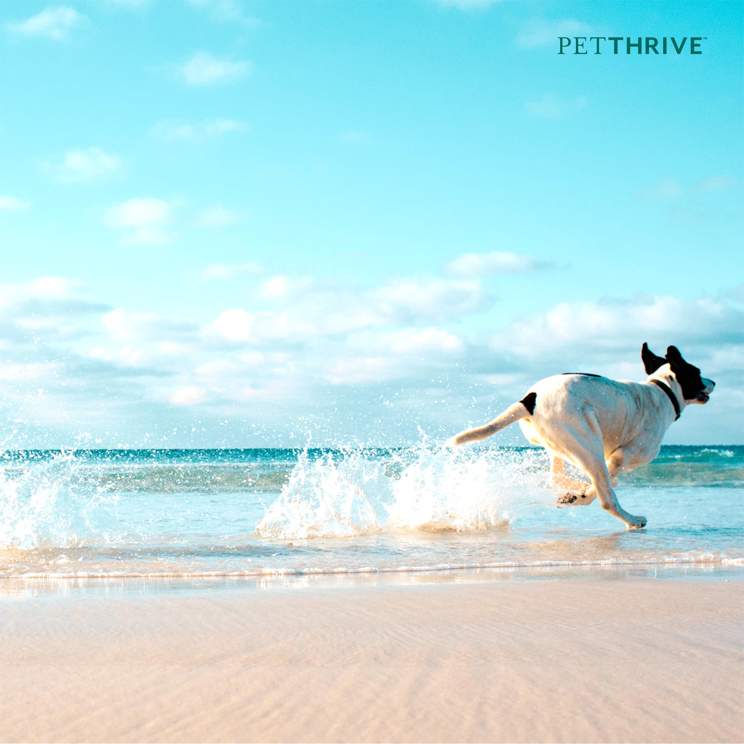 PetThrive uso diario para perros grandes activos.